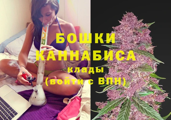 бутират Богородицк