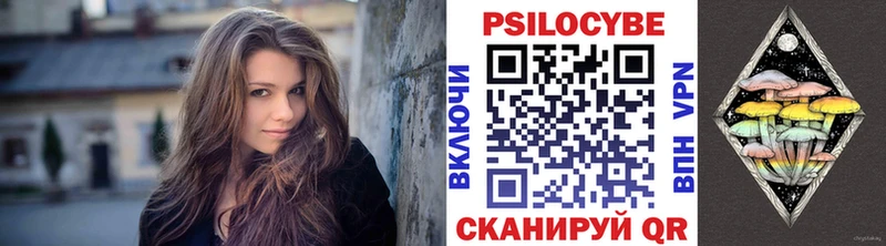 Купить закладки  Сенгилей  Псилоцибиновые грибы GOLDEN TEACHER 